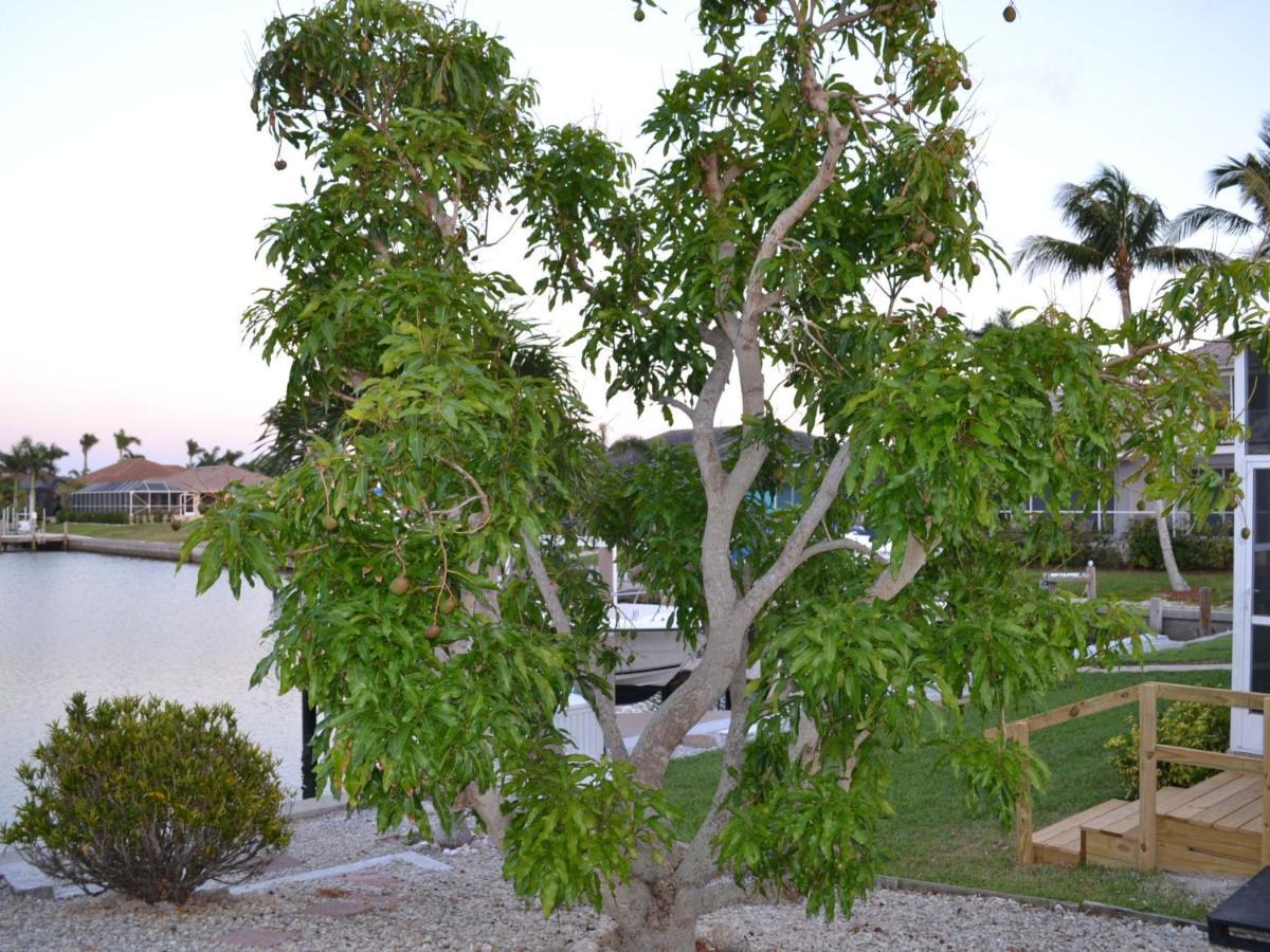 Villa ליבוניה מראה חיצוני תמונה